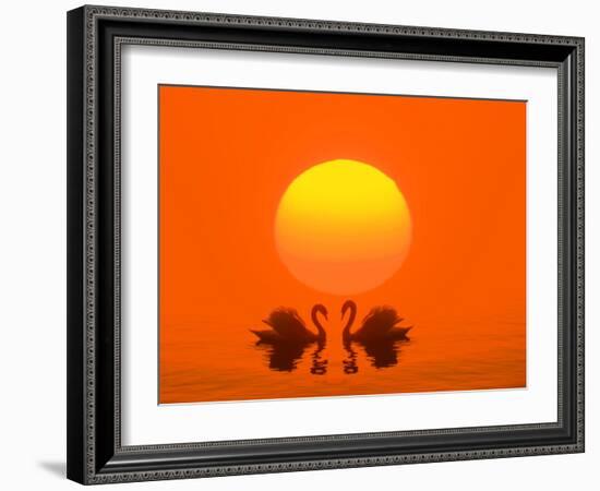 Swans with Sundown (M)-Ludwig Mallaun-Framed Photographic Print