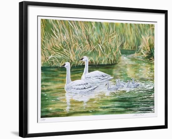 Swans-Allen Friedman-Framed Limited Edition