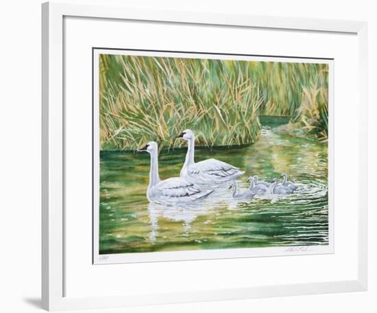 Swans-Allen Friedman-Framed Limited Edition