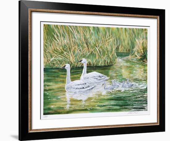 Swans-Allen Friedman-Framed Limited Edition