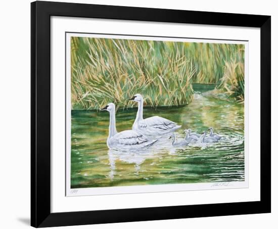 Swans-Allen Friedman-Framed Limited Edition