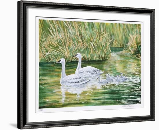 Swans-Allen Friedman-Framed Limited Edition