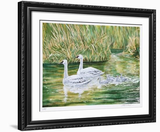 Swans-Allen Friedman-Framed Limited Edition