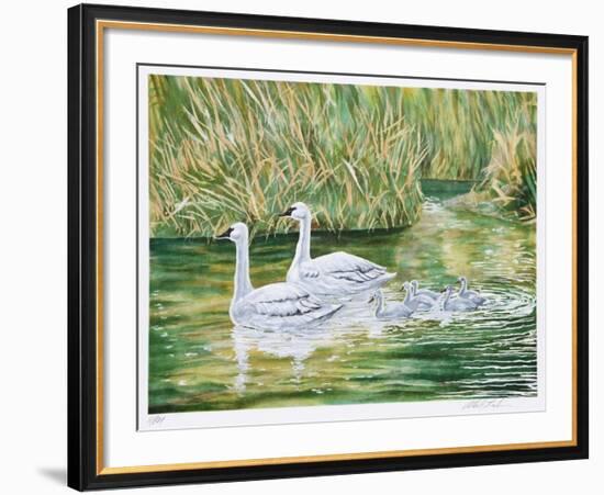 Swans-Allen Friedman-Framed Limited Edition