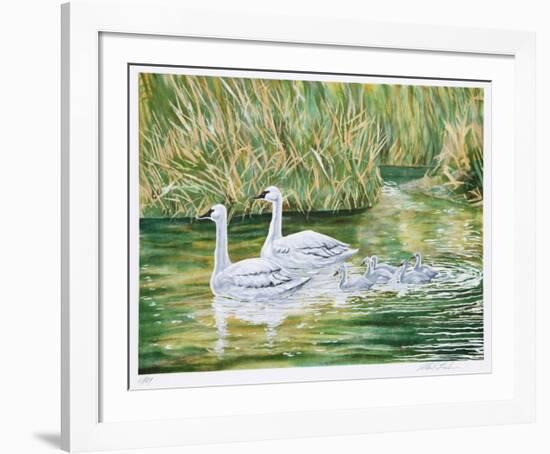 Swans-Allen Friedman-Framed Limited Edition