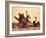 Swans-null-Framed Photographic Print