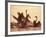 Swans-null-Framed Photographic Print