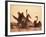 Swans-null-Framed Photographic Print