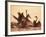 Swans-null-Framed Photographic Print