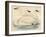 Swans-Beverley R. Morris-Framed Giclee Print