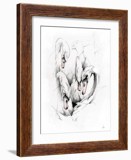 Swans-Alexis Marcou-Framed Art Print