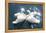 Swans-null-Framed Stretched Canvas