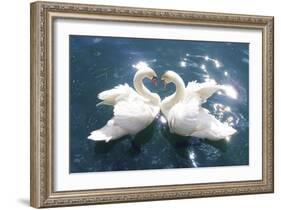 Swans-null-Framed Art Print