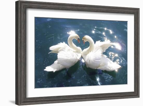 Swans-null-Framed Art Print