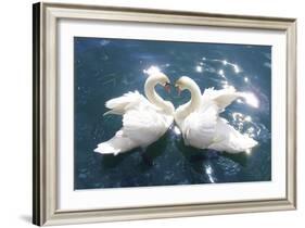 Swans-null-Framed Art Print