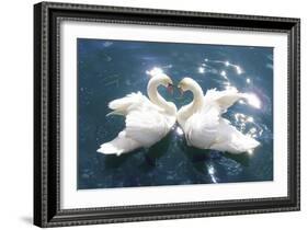 Swans-null-Framed Art Print