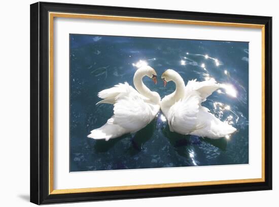 Swans-null-Framed Art Print