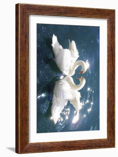 Swans-null-Framed Art Print