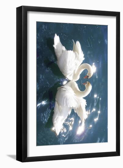 Swans-null-Framed Art Print