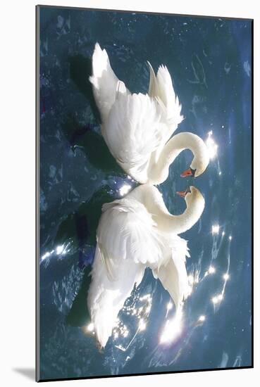 Swans-null-Mounted Art Print