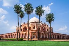 Beautiful View of Humayun's Tomb, UNESCO World Heritage Site, Delhi-swapan banik-Framed Photographic Print