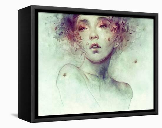 Swarm-Anna Dittman-Framed Stretched Canvas