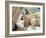 Swayambhunath (Monkey Temple), Kathmandu, Nepal-Ethel Davies-Framed Photographic Print