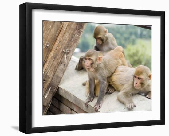 Swayambhunath (Monkey Temple), Kathmandu, Nepal-Ethel Davies-Framed Photographic Print