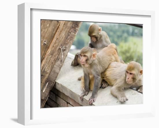 Swayambhunath (Monkey Temple), Kathmandu, Nepal-Ethel Davies-Framed Photographic Print