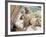 Swayambhunath (Monkey Temple), Kathmandu, Nepal-Ethel Davies-Framed Photographic Print