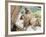 Swayambhunath (Monkey Temple), Kathmandu, Nepal-Ethel Davies-Framed Photographic Print