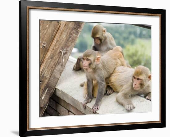 Swayambhunath (Monkey Temple), Kathmandu, Nepal-Ethel Davies-Framed Photographic Print