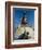 Swayambhunath Stupa (Monkey Temple), Kathmandu, Nepal, Asia-Gavin Hellier-Framed Photographic Print