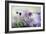 Swaying in the Summer Night II-Heidi Westum-Framed Photographic Print