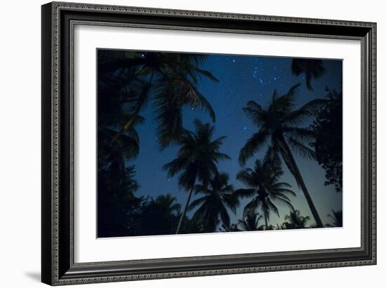 Swaying palm fronds and stars at Palomino on the Carribean coast of Colombia, South America-Alex Treadway-Framed Photographic Print
