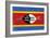 Swaziland Flag Design with Wood Patterning - Flags of the World Series-Philippe Hugonnard-Framed Premium Giclee Print