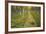 Sweden, Birch-Forest, Tree-Trunks, Forest Path-Rainer Mirau-Framed Photographic Print