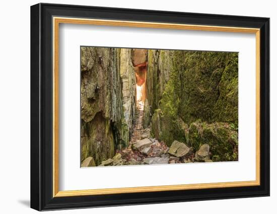 Sweden, Bohuslan Province. Path through wedged rocks near Uddevalla.-Emily Wilson-Framed Photographic Print