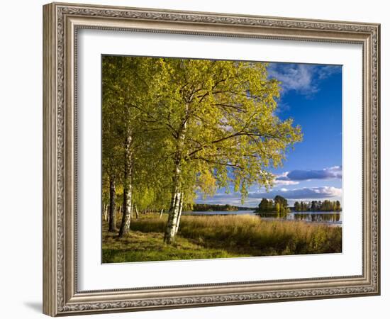 Sweden, Dalarna, Autumn at Orsa Lake, Birch, Tree Islands-K. Schlierbach-Framed Photographic Print