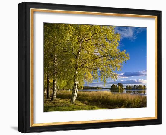 Sweden, Dalarna, Autumn at Orsa Lake, Birch, Tree Islands-K. Schlierbach-Framed Photographic Print