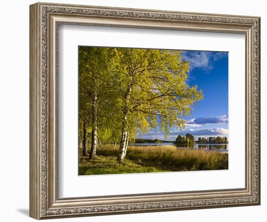 Sweden, Dalarna, Autumn at Orsa Lake, Birch, Tree Islands-K. Schlierbach-Framed Photographic Print