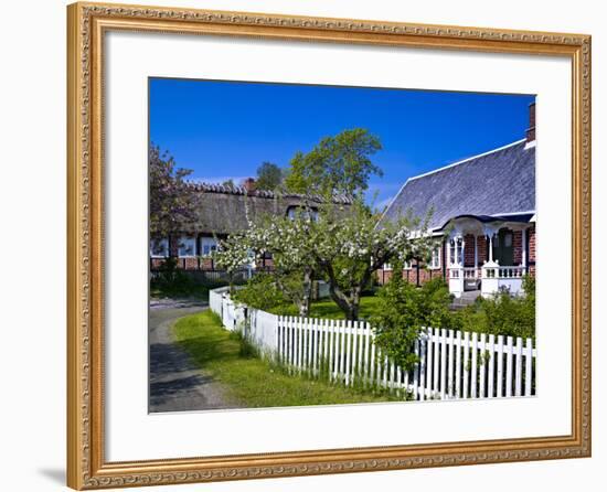 Sweden, Half-Timbered Houses in Brick, White Wooden Blossoming Fruit Trees, Spring-K. Schlierbach-Framed Photographic Print