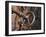 Sweden, Island of Gotland; a Antique Key and Lock Still in Use on the Medieval Church Door-Mark Hannaford-Framed Photographic Print