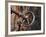 Sweden, Island of Gotland; a Antique Key and Lock Still in Use on the Medieval Church Door-Mark Hannaford-Framed Photographic Print