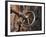 Sweden, Island of Gotland; a Antique Key and Lock Still in Use on the Medieval Church Door-Mark Hannaford-Framed Photographic Print