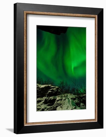 Sweden, Norrbotten, Abisko. Aurora Borealis (Northern Lights) above Abisko canyon.-Fredrik Norrsell-Framed Photographic Print