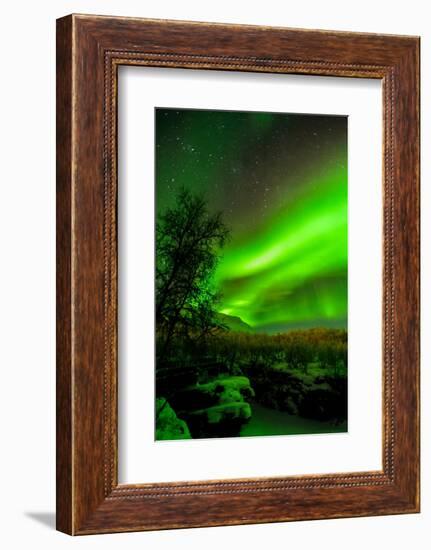 Sweden, Norrbotten, Abisko. Aurora Borealis (Northern Lights) over Abisko Canyon.-Fredrik Norrsell-Framed Photographic Print