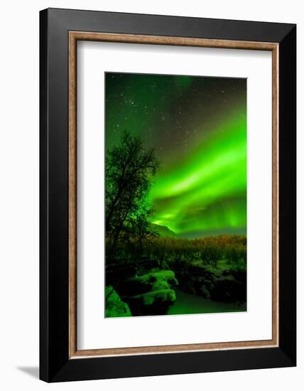 Sweden, Norrbotten, Abisko. Aurora Borealis (Northern Lights) over Abisko Canyon.-Fredrik Norrsell-Framed Photographic Print