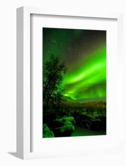 Sweden, Norrbotten, Abisko. Aurora Borealis (Northern Lights) over Abisko Canyon.-Fredrik Norrsell-Framed Photographic Print