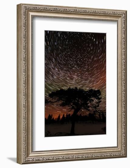 Sweden, Norrbotten, Abisko. Winter night with star circles and a hint of Northern Light.-Fredrik Norrsell-Framed Photographic Print